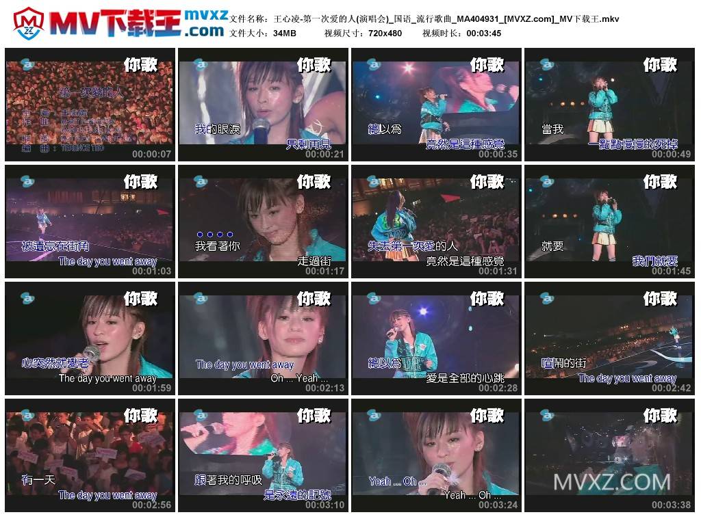 王心凌-第一次爱的人(演唱会)_国语_流行歌曲_MA404931